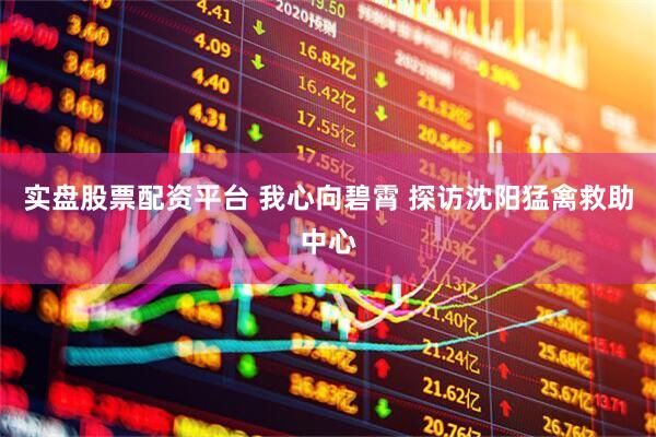 实盘股票配资平台 我心向碧霄 探访沈阳猛禽救助中心