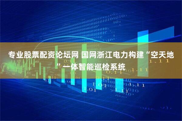 专业股票配资论坛网 国网浙江电力构建“空天地”一体智能巡检系统