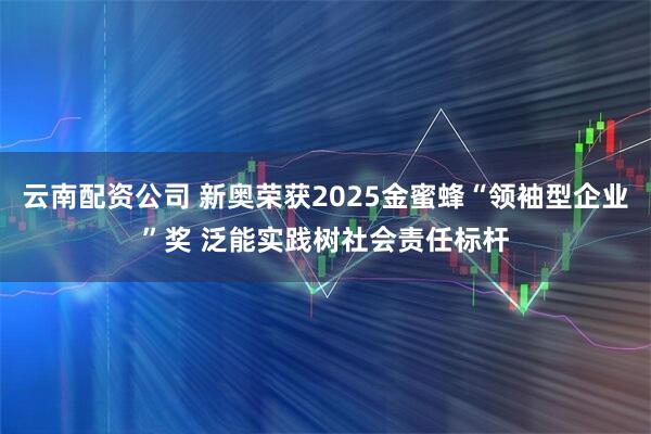 云南配资公司 新奥荣获2025金蜜蜂“领袖型企业”奖 泛能实践树社会责任标杆