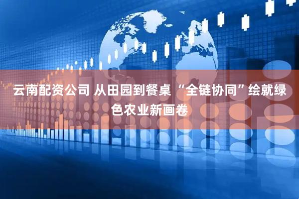 云南配资公司 从田园到餐桌 “全链协同”绘就绿色农业新画卷