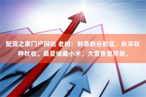 配资之家门户网站 老树：割黍割谷割豆，秋采秋种秋收。最爱储藏小米，大雪夜里熬粥。